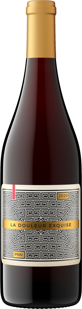 Buy La Douleur Exquise 2020 Pinot Noir – Firstleaf