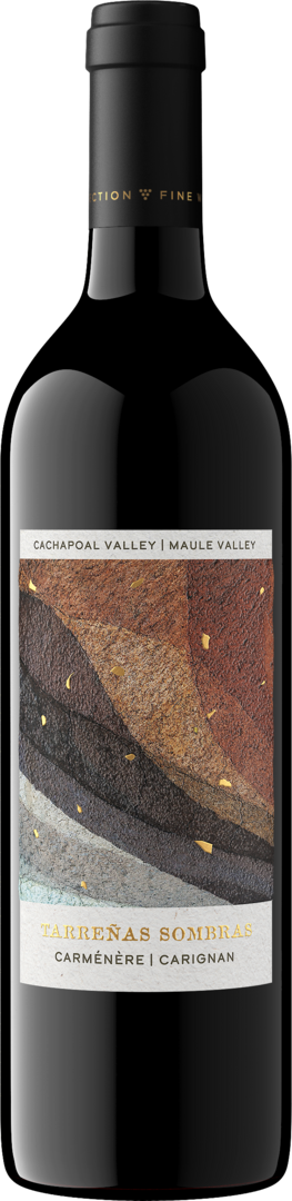 ★激レア★ スペイン製　Masriera Y Campins アール・ヌーヴォー Buy Tarreñas Sombras 2024 Carménère-Carignan – Firstleaf