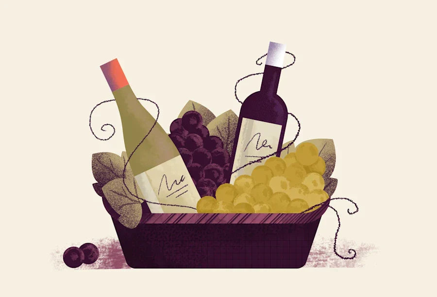 Drawing of grapes and wine bottles.