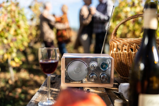 Red wine glass and vintage radio in a vineyard