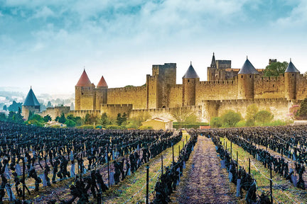 A vineyard in Bordeaux with a chateau in the background.