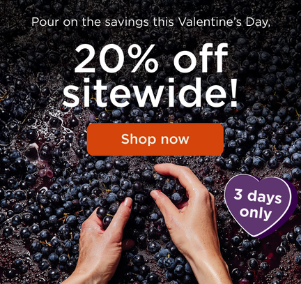Valentine's Day Savings