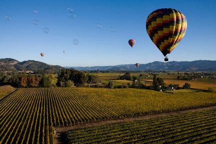 Hot air balloons over a vineyard in Napa Valley