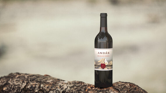 Andás 2019 Malbec Reserva Mendoza, Argentina