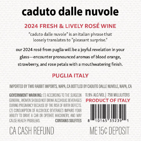 Caduto dalle Nuvole 2024 Rosé Wine Back Label