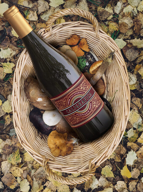 Caligrafica 2020 Shiraz California