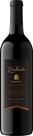 Castillo Quebrado Carmenere Bottle
