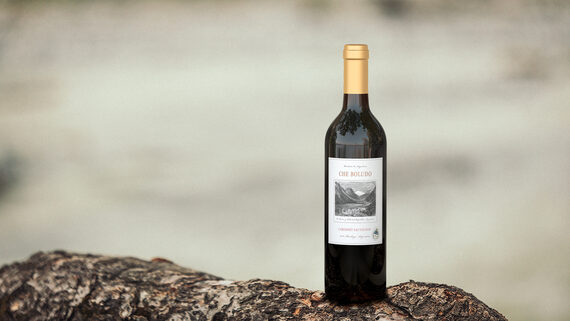 Che Boludo 2018 Cabernet Sauvignon Mendoza, Argentina