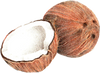 A figure representing the Coconut tasting note.