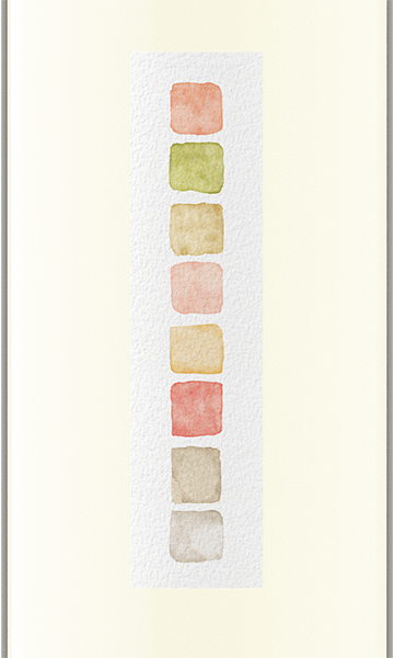 Color Wash 2019 Sauvignon Blanc Lodi, California