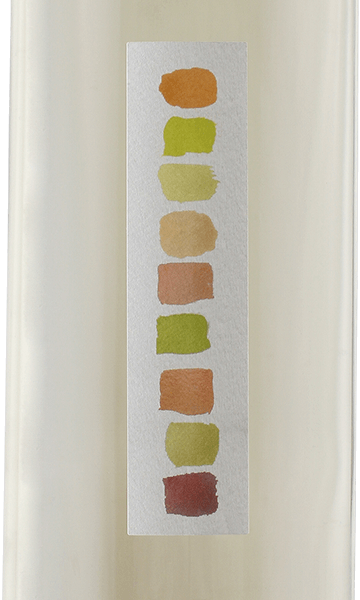 Color Wash 2016 Sauvignon Blanc Lodi California