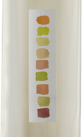 Color Wash 2016 Sauvignon Blanc Lodi California