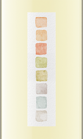 Color Wash 2020 Pinot Grigio California