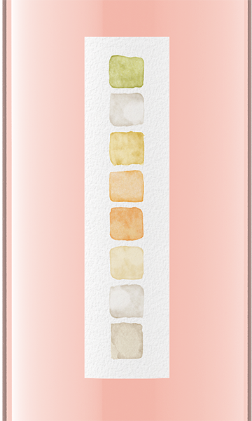 Color Wash 2020 Rosé, California