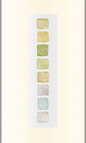 Color Wash 2022 Pinot Grigio, California