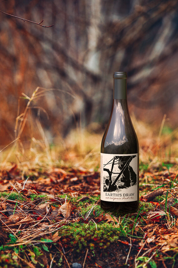 Buy Earth's Draw 2018 Pinot Noir – Firstleaf
