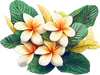 A figure representing the Frangipani tasting note.