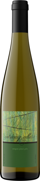 Intricacy Cellars 2019 Pinot Gris Willamette Valley, Oregon