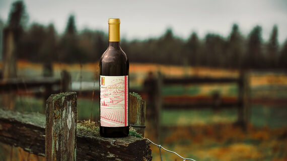 Longitude 120 West 2019 Cabernet Sauvignon Horse Heaven Hills, Washington on a fence in a field