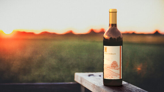 Longitude 120 West 2018 Cabernet Sauvignon Paso Robles, California 