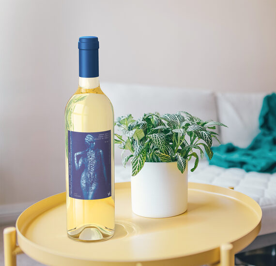 Maiden's Delight 2019 Pinot Grigio Garda DOC, Italy on a yellow table next to a potted plant