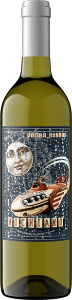 Michiamo 2020 Pinot Grigio Garda DOC, Italy
