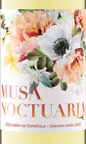 Musa Noctuaria 2020 Airén Spain