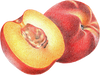A figure representing the Nectarine tasting note.