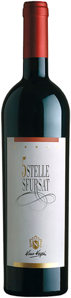 Nino Negri 2013 5 Stelle Nebbiolo Sfursat di Valtellina DOCG, Italy