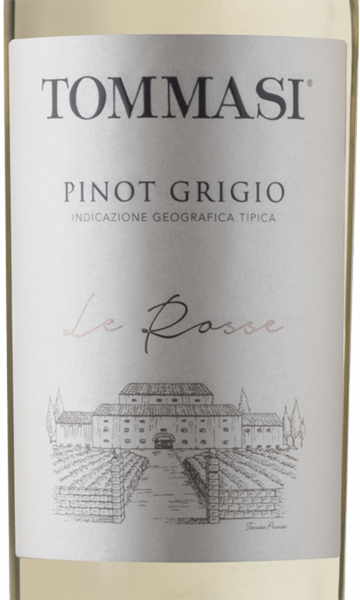 Tommasi 2019 Le Rosse Pinot Grigio Tre Venezie, Italy