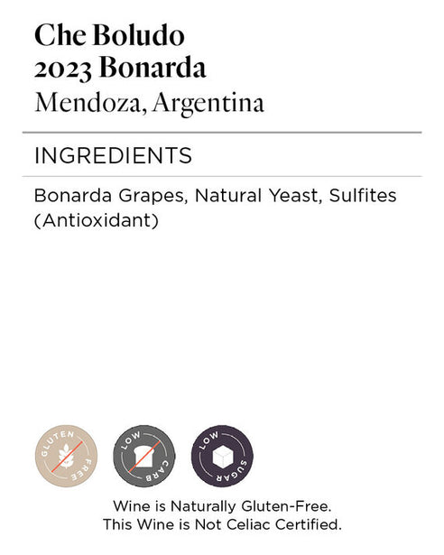 Che Boludo 2023 Bonarda Mendoza, Argentina
