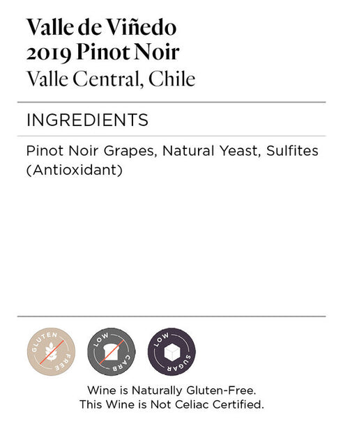 Valle de Viñedo 2019 Pinot Noir Valle Central, Chile