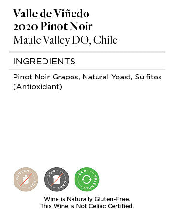 Valle de Viñedo 2020 Pinot Noir Maule Valley DO, Chile