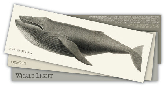 Whale Light 2019 Pinot Gris Willamette Valley, Oregon