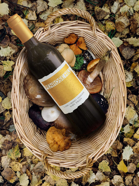 Penrose Hill 2019 Cabernet Sauvignon Napa Valley, California