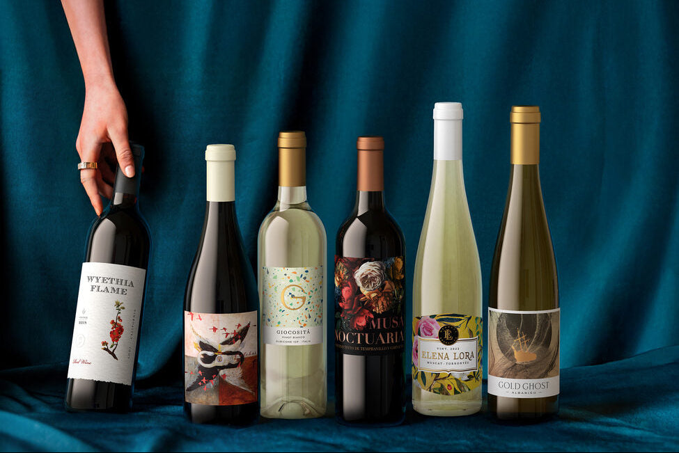 Collection of wine bottles with various labels on a blue fabric background