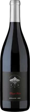 Piedra Gana Tijeras P.G.T. 2017 Pinot Noir Chile