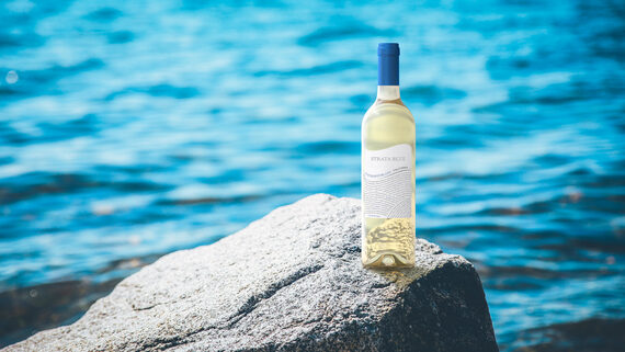 Strata Blue 2019 Sauvignon Blanc California