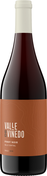 Valle de Viñedo 2019 Pinot Noir Valle Central, Chile