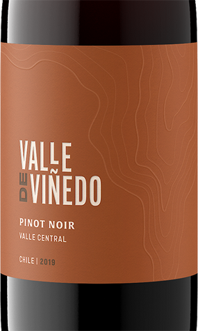 Valle de Viñedo 2019 Pinot Noir Valle Central, Chile