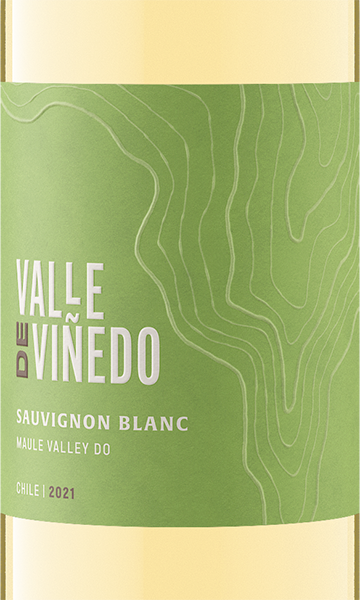 Valle de Viñedo 2021 Sauvignon Blanc Maule Valley DO, Chile