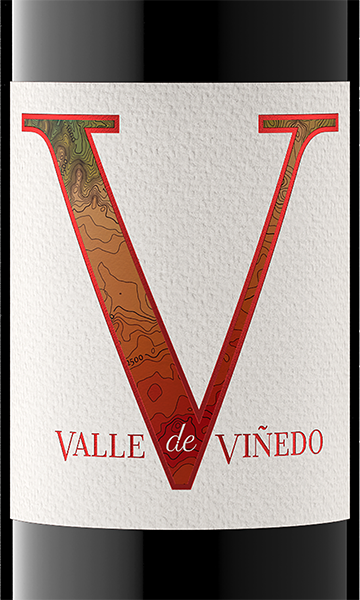 Valle de Viñedo 2019 Cabernet Sauvignon Valle Central, Chile