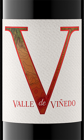 Valle de Viñedo 2019 Cabernet Sauvignon Valle Central, Chile