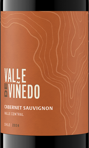 Valle de Viñedo 2024 Cabernet Sauvignon Front Label