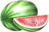A figure representing the Watermelon tasting note.