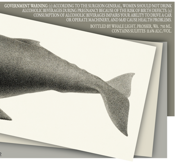 Whale Light 2022 Pinot Gris Columbia Valley, Washington