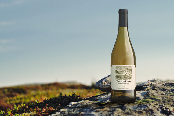 Wisdom Point 2020 Sauvignon Blanc Western Cape, South Africa