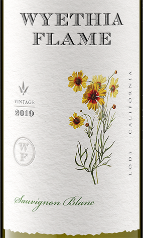 Wyethia Flame 2019 Sauvignon Blanc Lodi, California