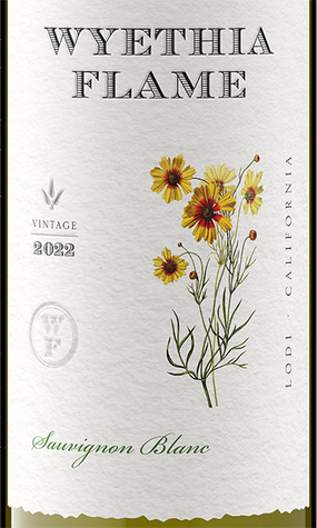 Wyethia Flame 2022 Sauvignon Blanc Lodi, California