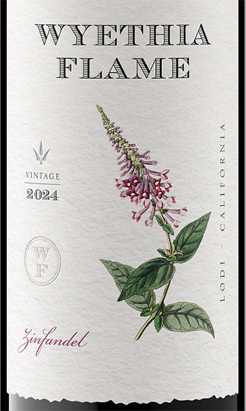 Wyethia Flame 2024 Zinfandel Lodi, California